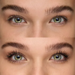 Untitled design – 2024-05-24T153607.722