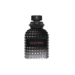 Untitled design (88)