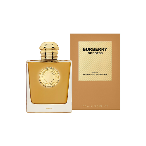 500x500 - 2025-09-16T101519.031