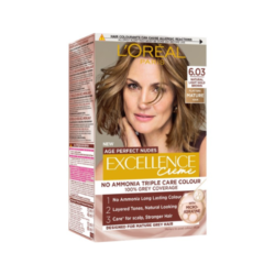 500×500 – 2026-02-25T144817.673